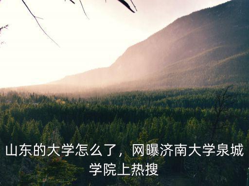 濟南大學(xué)泉城學(xué)院學(xué)費一年多少,網(wǎng)曝濟南大學(xué)泉城學(xué)院上熱搜