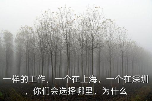 一樣的工作，一個(gè)在上海，一個(gè)在深圳，你們會(huì)選擇哪里，為什么