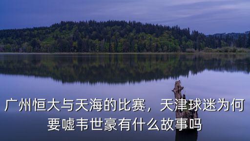 廣州恒大與天海的比賽，天津球迷為何要噓韋世豪有什么故事嗎