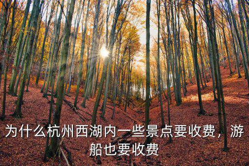 杭州西湖 游船多少錢一位,杭州西湖坐游船多少錢