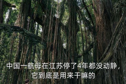 深圳明斯克航母是怎么開進(jìn)去的,從深圳拖走的明斯克號航母