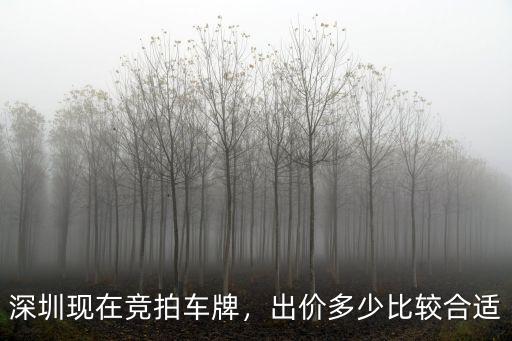 深圳本月車牌中標(biāo)價(jià)是多少,深圳車牌過戶值多少錢