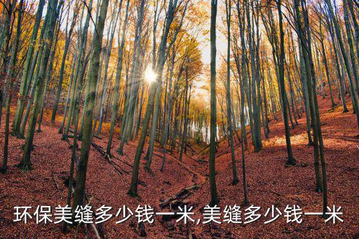 泰安環保美縫多少錢一米,美縫多少錢一米