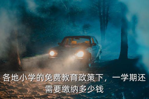 各地小學的免費教育政策下，一學期還需要繳納多少錢