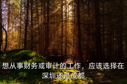 做財務的去深圳怎么樣,在深圳做外賬會計工資怎么樣