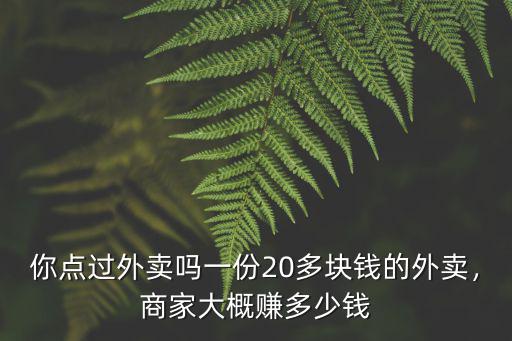 濟南外賣好的一傷多少錢,一份20多塊錢的外賣