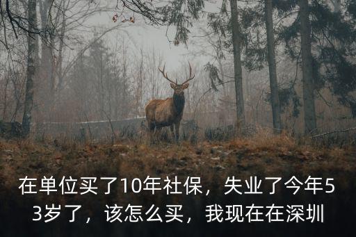在單位買了10年社保，失業了今年53歲了，該怎么買，我現在在深圳