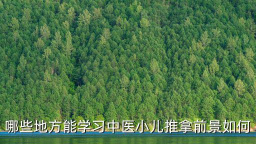 哪些地方能學習中醫小兒推拿前景如何