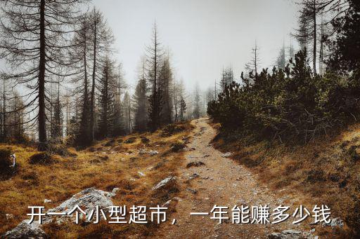 開一個小型超市，一年能賺多少錢