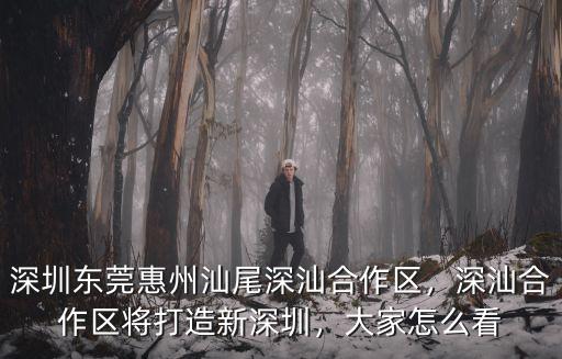 深汕合作區(qū)到深圳怎么走,深汕合作區(qū)將打造新深圳