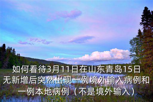 青島輸入病例共多少,青島輸入病例一事作出回應
