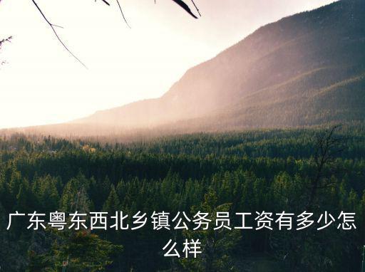 廣州公務(wù)員過得怎么樣,廣東省公務(wù)員待遇怎么樣