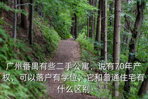 廣州番禺公寓多少年,廣州番禺有些二手公寓