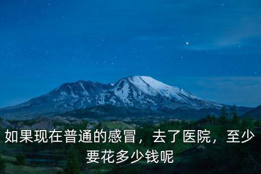 如果現在普通的感冒，去了醫院，至少要花多少錢呢
