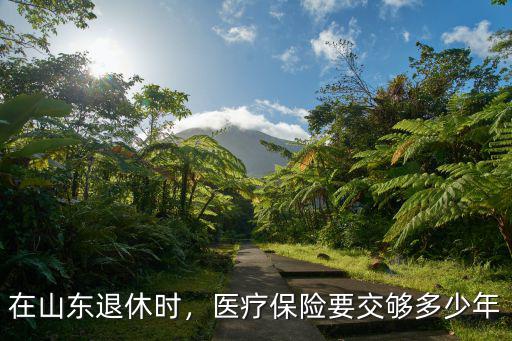 山東的醫保交到多少年享受終身,在山東退休時
