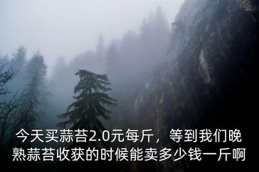 山東省商河縣今天蒜毫多少錢一斤,今天買蒜苔2.0元每斤