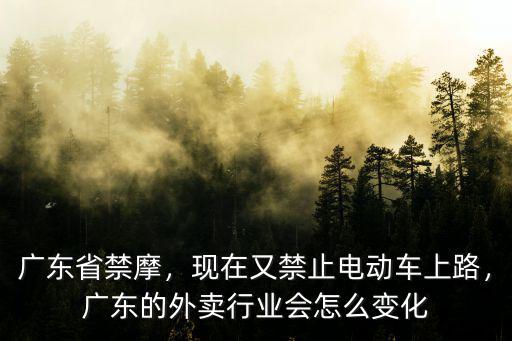 廣州電動車外賣怎么樣,在廣州送外賣是騎什么車的