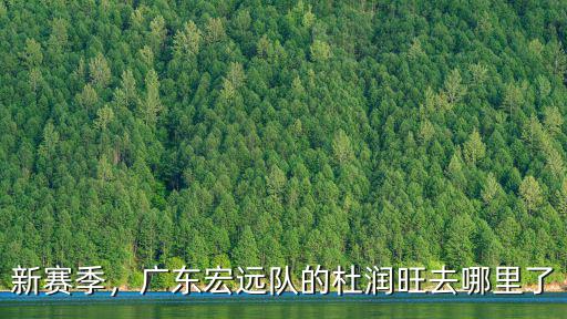 廣東隊的劉全標去哪里了,廣東宏遠隊的杜潤旺去哪里了