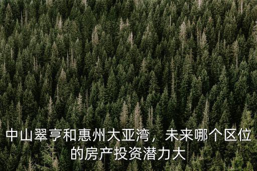 中山惠州哪里更適合投資,中山翠亨和惠州大亞灣