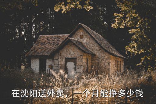 在沈陽送外賣，一個月能掙多少錢