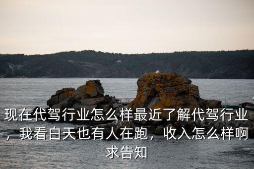現在代駕行業怎么樣最近了解代駕行業，我看白天也有人在跑，收入怎么樣啊求告知
