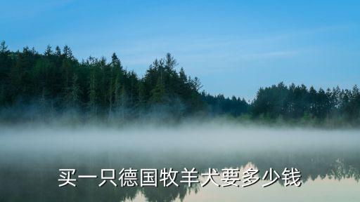 買一只德國牧羊犬要多少錢