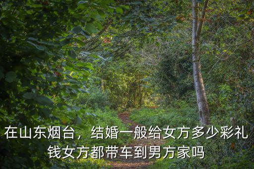 在山東煙臺，結婚一般給女方多少彩禮錢女方都帶車到男方家嗎