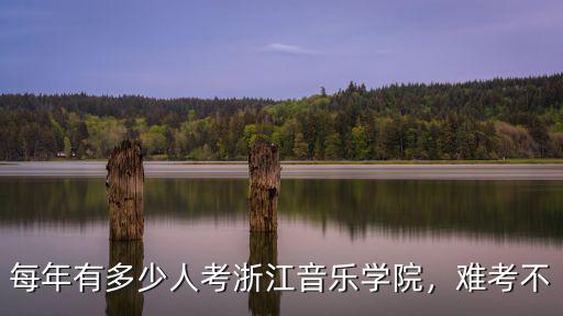每年有多少人考浙江音樂學(xué)院，難考不