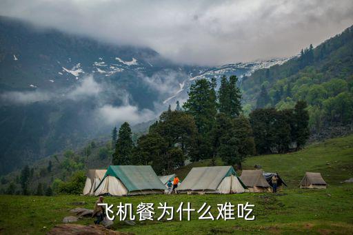 深圳航空飛機(jī)餐晚餐怎么樣,哪個(gè)航空公司的飛機(jī)餐最好吃