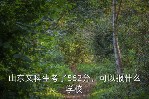 山東文科生考了562分，可以報(bào)什么學(xué)校