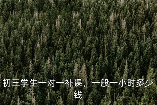 初三學(xué)生一對(duì)一補(bǔ)課，一般一小時(shí)多少錢