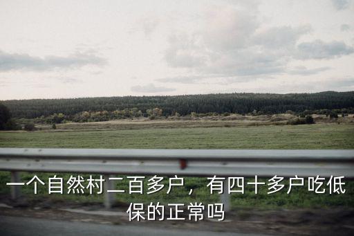 一個自然村二百多戶，有四十多戶吃低保的正常嗎