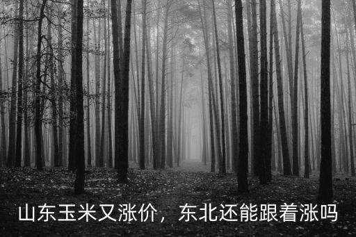 山東恒仁玉米收購多少錢,玉米多少錢一斤