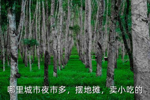 哪里城市夜市多，擺地攤，賣小吃的