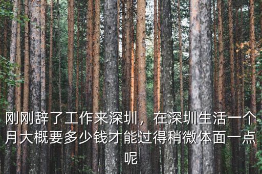 深圳打工仔一個月花多少錢,在深圳一個月七千塊夠花嗎