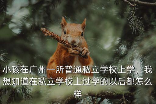 小孩在廣州一所普通私立學校上學，我想知道在私立學校上過學的以后都怎么樣