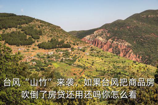 深圳臺風(fēng)山竹吹倒了多少棵樹,臺風(fēng)山竹來襲