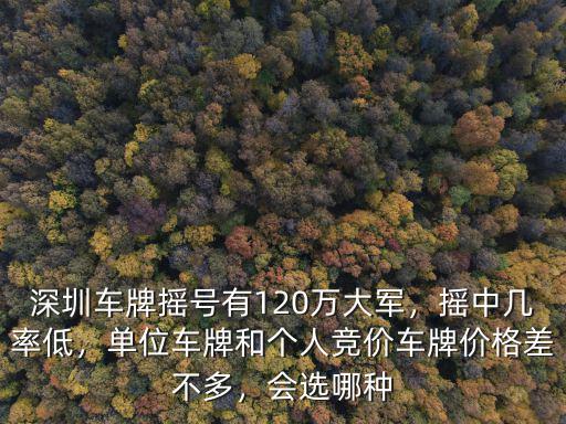 深圳車牌競價怎么回事,深圳車牌搖號有120萬大軍