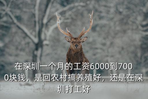 在深圳一個月的工資6000到7000塊錢，是回農村搞養殖好，還是在深圳打工好