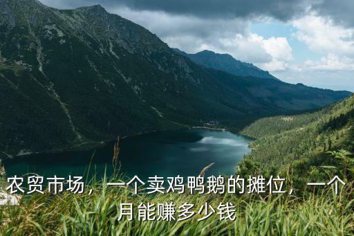 深圳當鴨一個月賺多少錢,一個月能賺多少錢