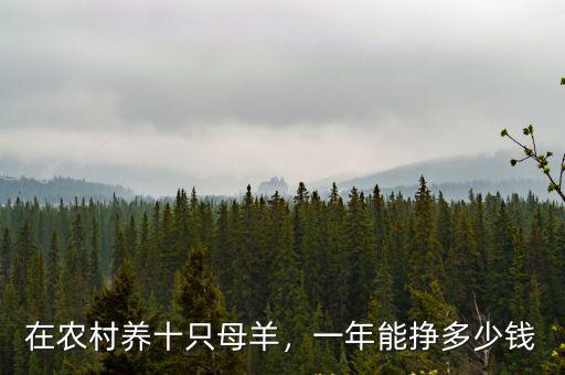 臨沂的山母羊多少錢一只,7只羔羊能價(jià)值多少錢