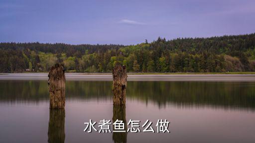 東莞東城哪里可以學做水煮魚,東莞哪家水煮魚好吃