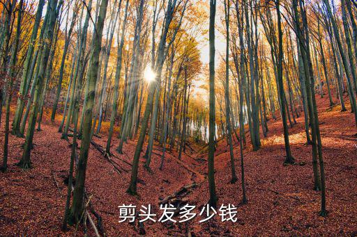 金華剪個頭發多少錢,剪個頭發68元起步