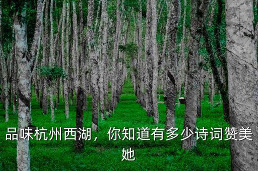 品味杭州西湖，你知道有多少詩詞贊美她