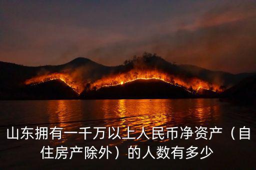 山東擁有一千萬以上人民幣凈資產(chǎn)（自住房產(chǎn)除外）的人數(shù)有多少