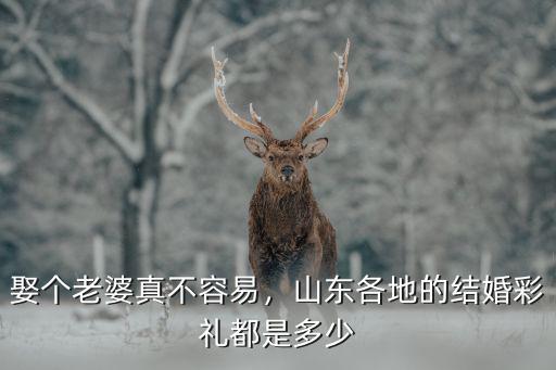 娶個老婆真不容易，山東各地的結婚彩禮都是多少