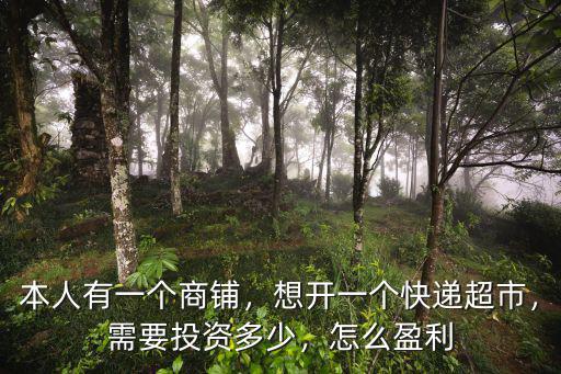 廣東快遞怎么投資,想投資一個快遞公司