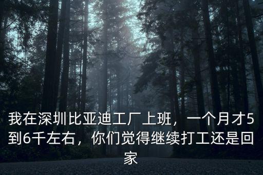 我在深圳比亞迪工廠上班，一個月才5到6千左右，你們覺得繼續打工還是回家
