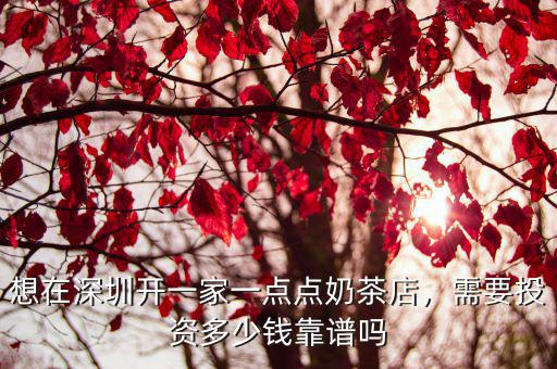想在深圳開一家一點(diǎn)點(diǎn)奶茶店，需要投資多少錢靠譜嗎