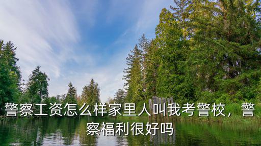 廣東警察工資待遇怎么樣,廣東東莞市公務(wù)員待遇怎么樣